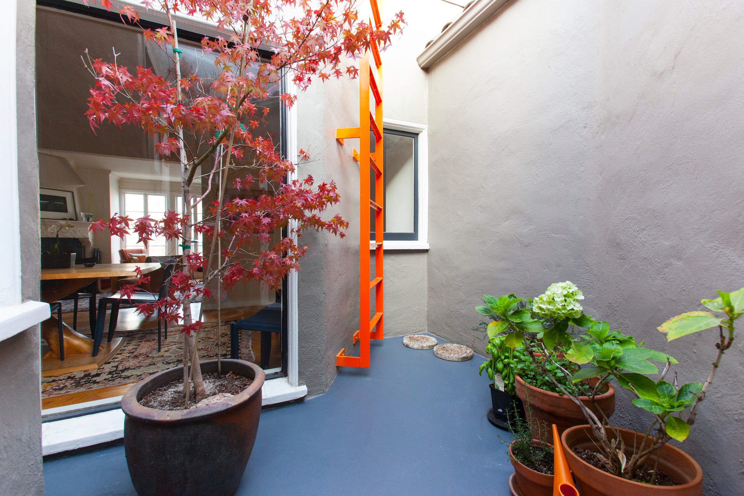 Home in San Francisco · ★4.96 · 3 bedrooms · 3 beds · 2 baths - Image 52
