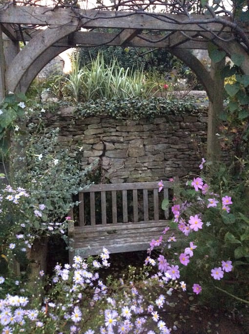 The Autumn garden has that elegant decay with the best flowers still awaiting that first frost...