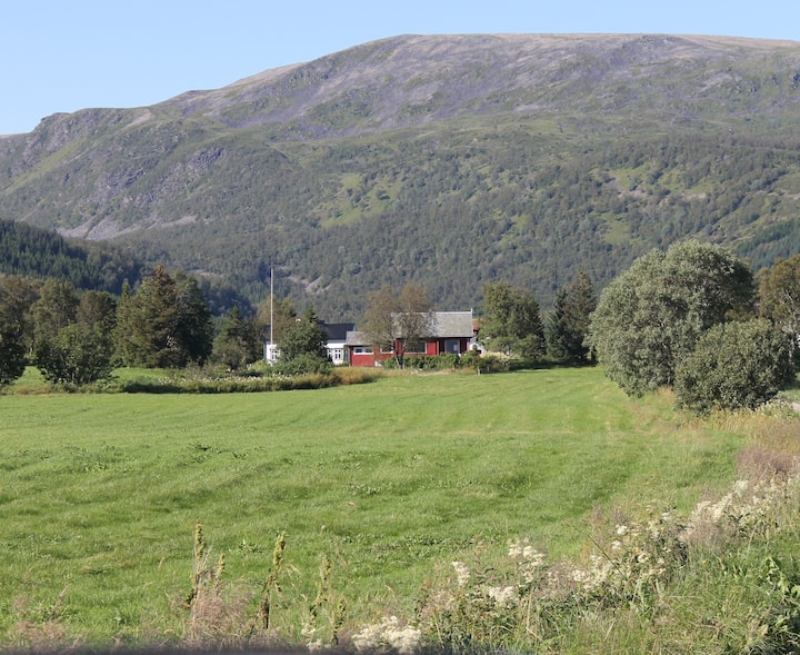 Vesterålen Vacation Rentals & Homes - Sortland, Norway | Airbnb