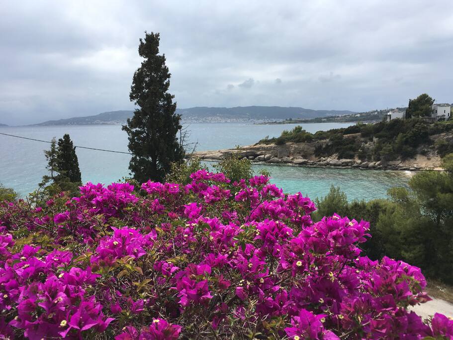WATER TAXI TO SPETSES