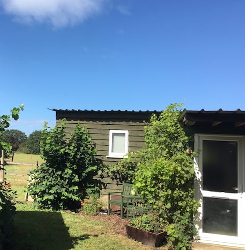 Top Airbnb: Quirky rural retreat in the heart of South Norfolk in South Norfolk