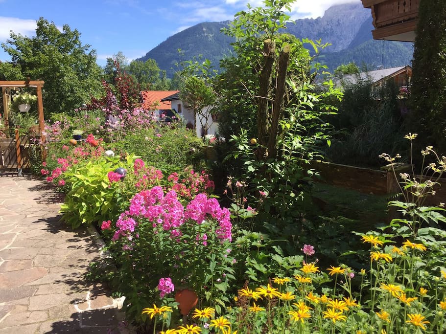 Blumenpracht im Sommer