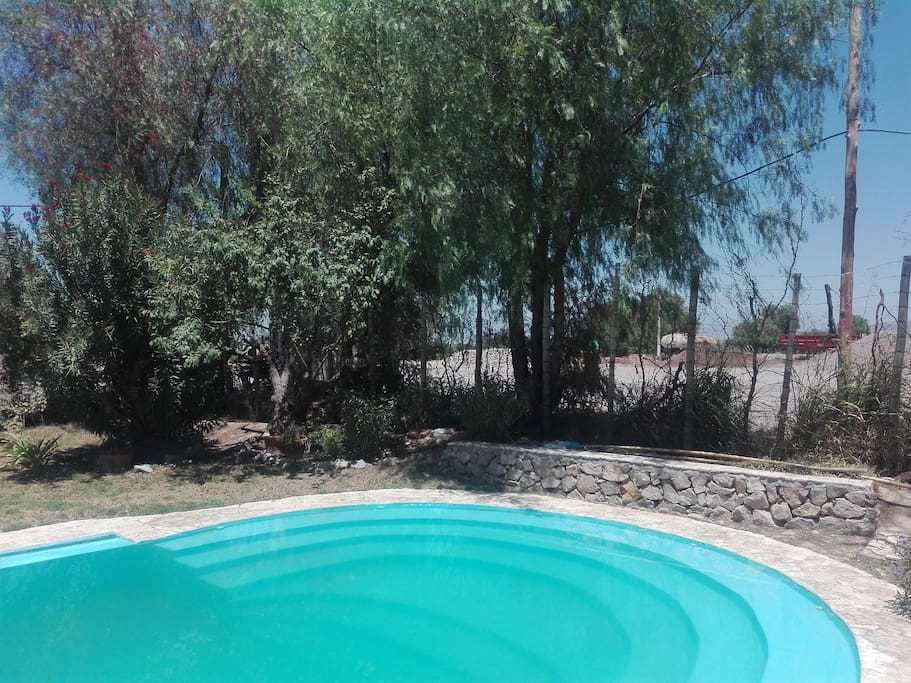 Nuestra Piscina es de ultima geneacion con desborde infinito de 13x5x1.45mts. rodeada de jardines, reposeras y sillones