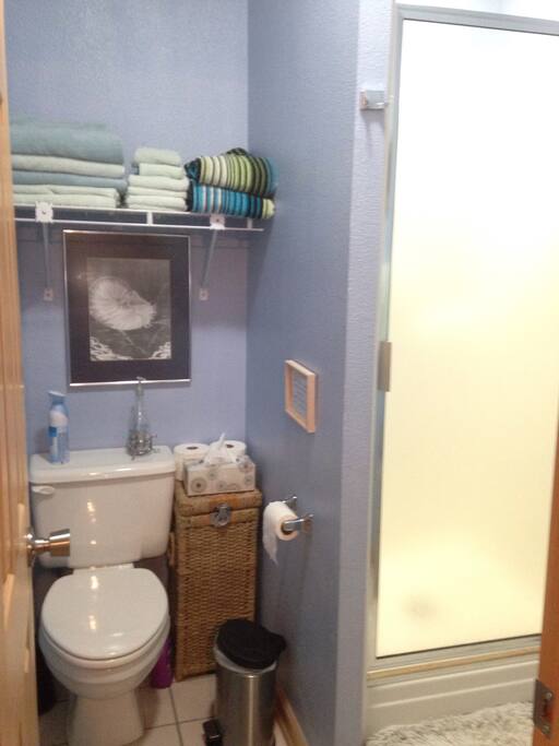 Attached bathroom with shower.