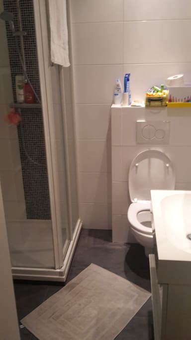Salle de bain avec douche