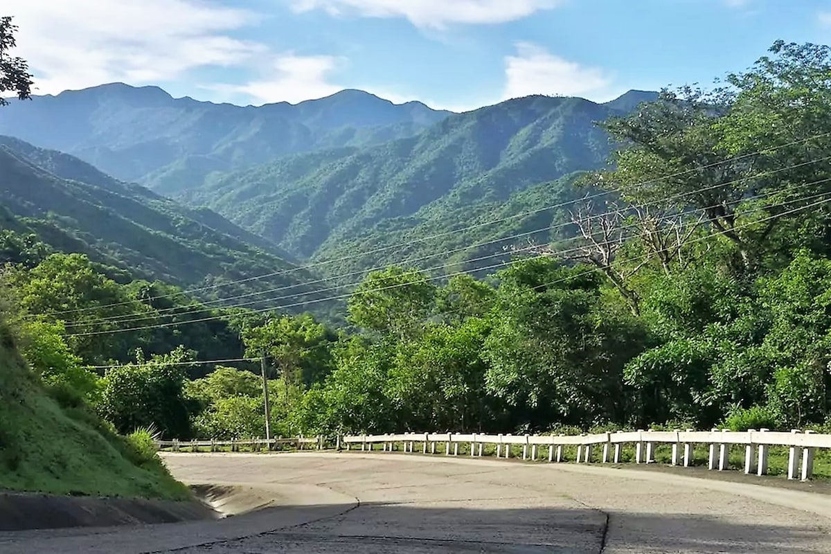 Lush green mountains rise in the background under a clear blue sky, showcasing varying shades of foliage. A winding road is visible in the foreground, framed by trees and shrubs, evoking a sense of serenity and connection with nature.