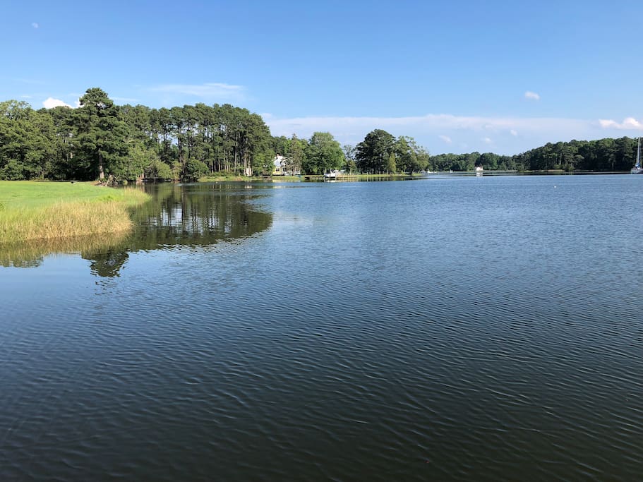 View of our creek from the shore. We are minutes to the Bay so this is salt water.
