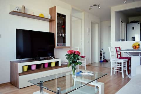 Top performing Airbnb: Andrijana Lovran Apartment in Oprić