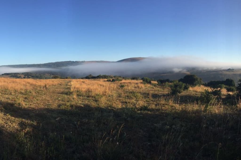Morning mist over the mountain on the farm