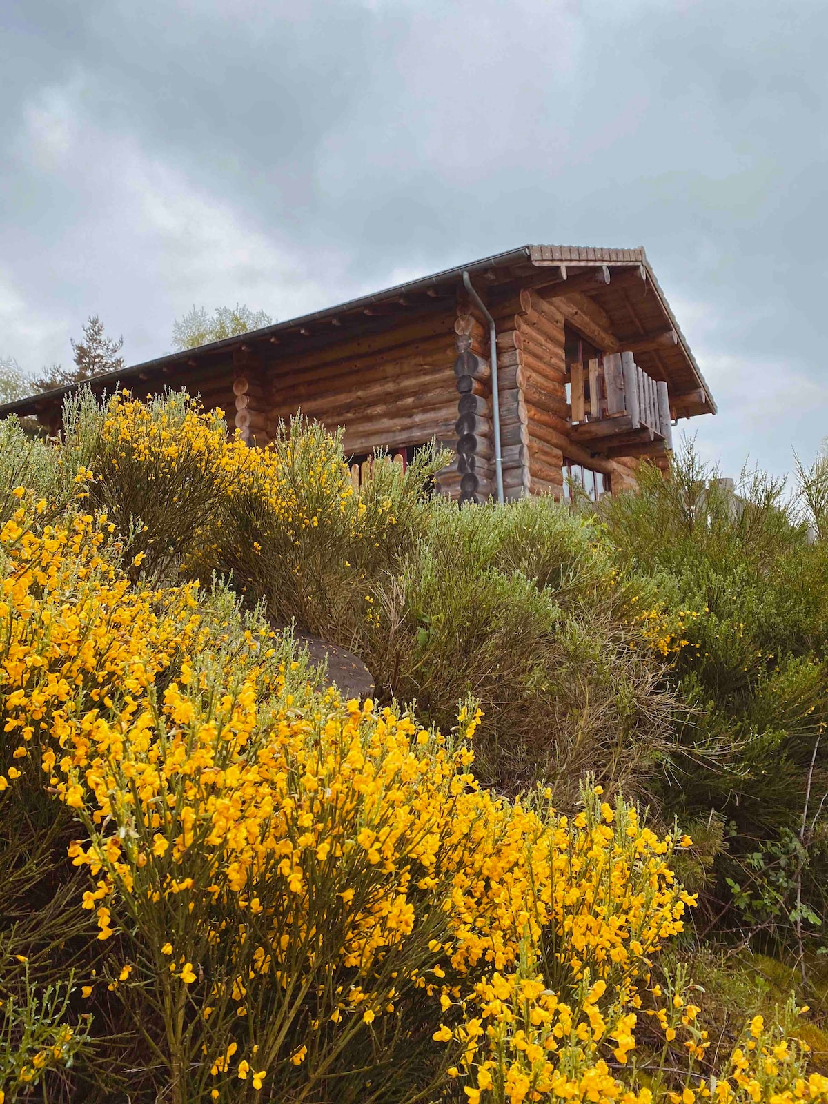 The rustic wooden chalet is set against a backdrop of moody skies, surrounded by vibrant yellow flowers and lush greenery. The structure features a balcony overlooking the natural landscape, with logs prominently used in its construction.