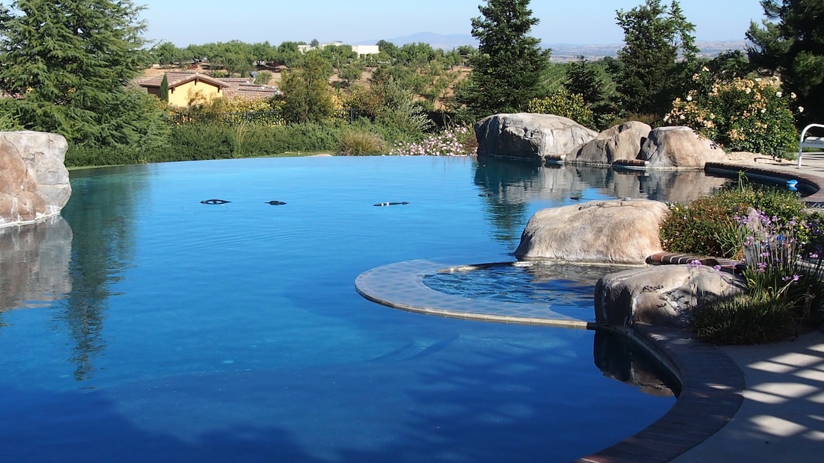 An infinity pool glistens under sunlight, surrounded by natural stone and greenery. Large rocks and blooming flowers frame the edge, enhancing the tranquil setting. The serene waters offer expansive views of the vineyard landscape in the distance.