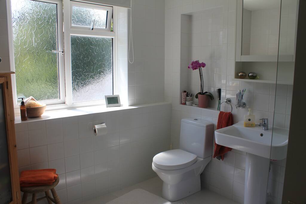 Guest bathroom