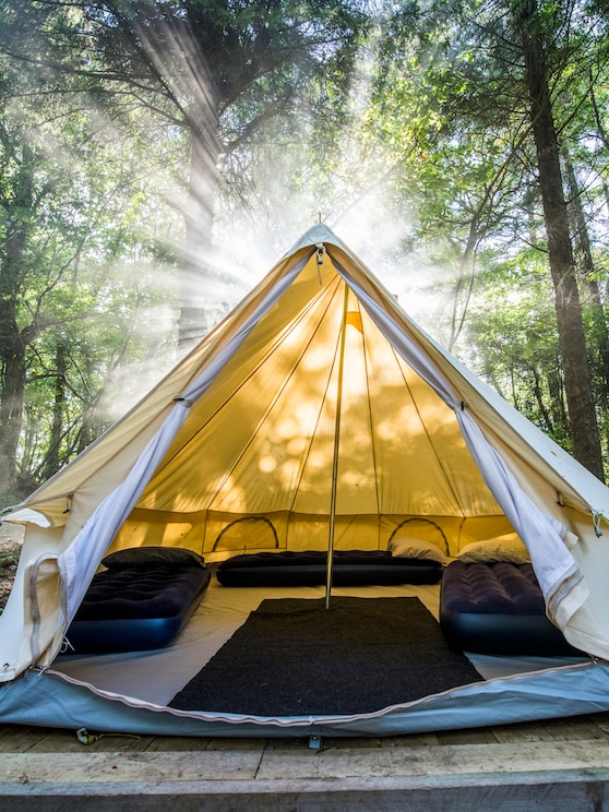 Show full-screen, host-provided image