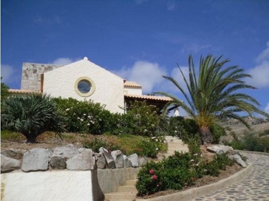 The Villa surrounded by the palm trees, dragon trees...