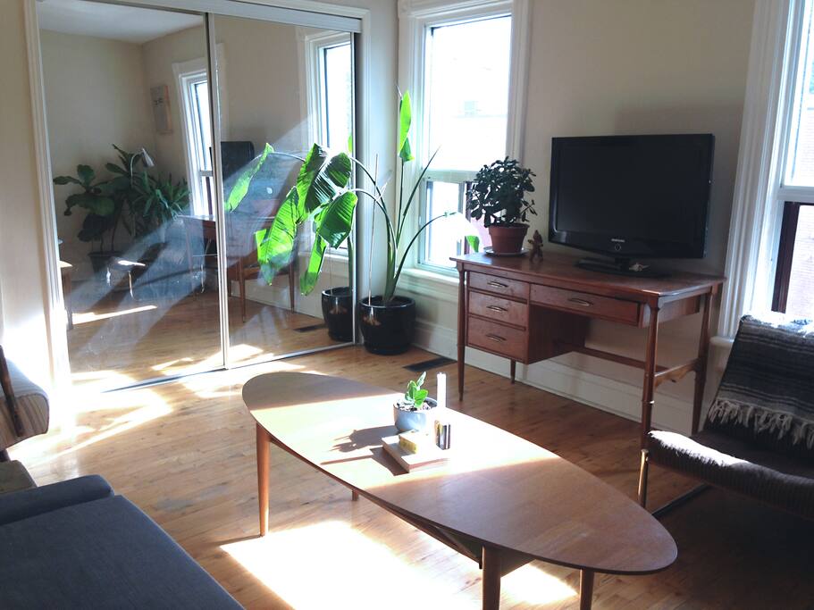 Sunny Living Room