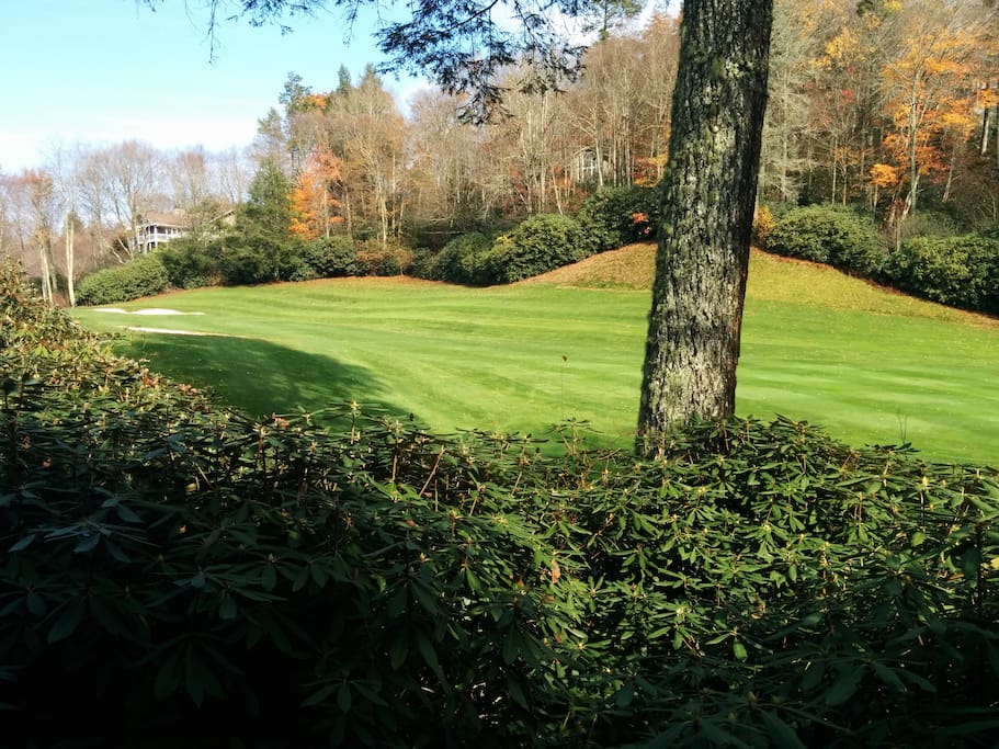 View from back deck