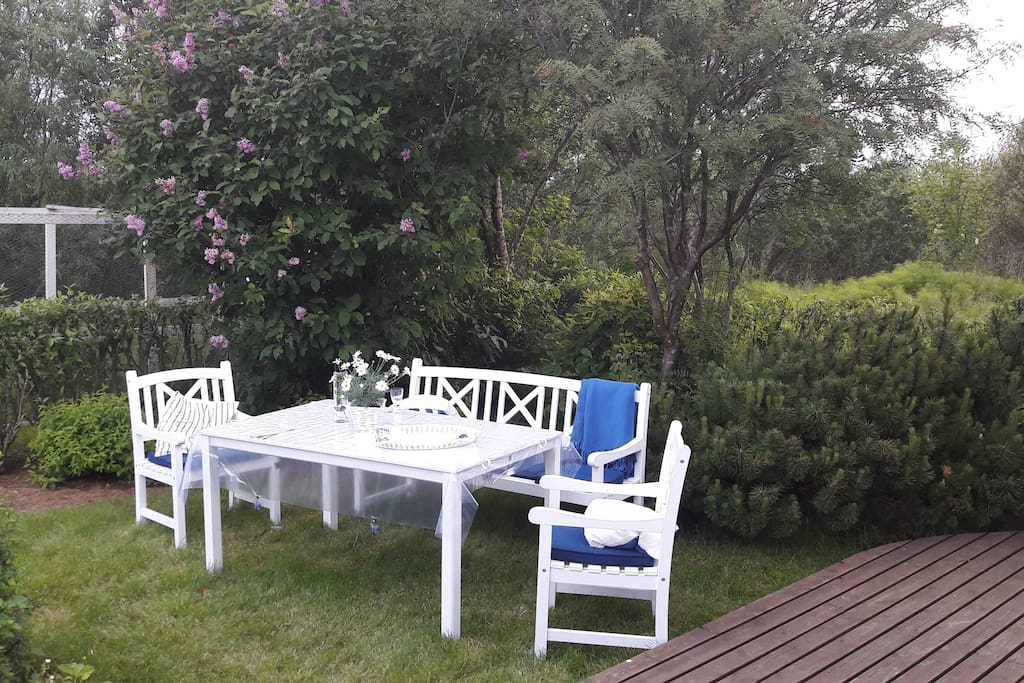 The garden