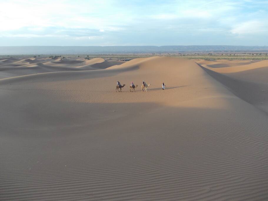 Bivouac Draa