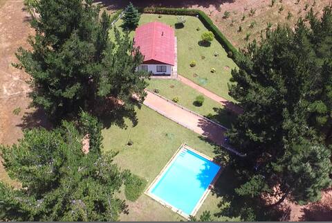 Country house, swimming pool, soccer field and animals
