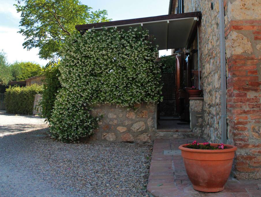 Patio immerso nel verde