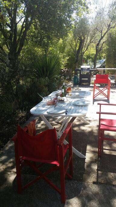 terrasse ensoleillée en lisière de forêt