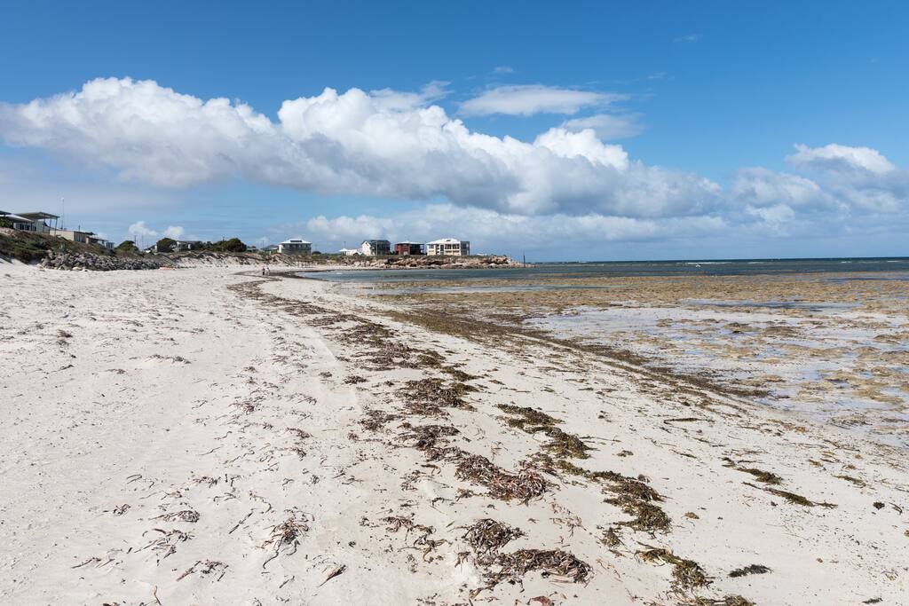 Bluff Beach