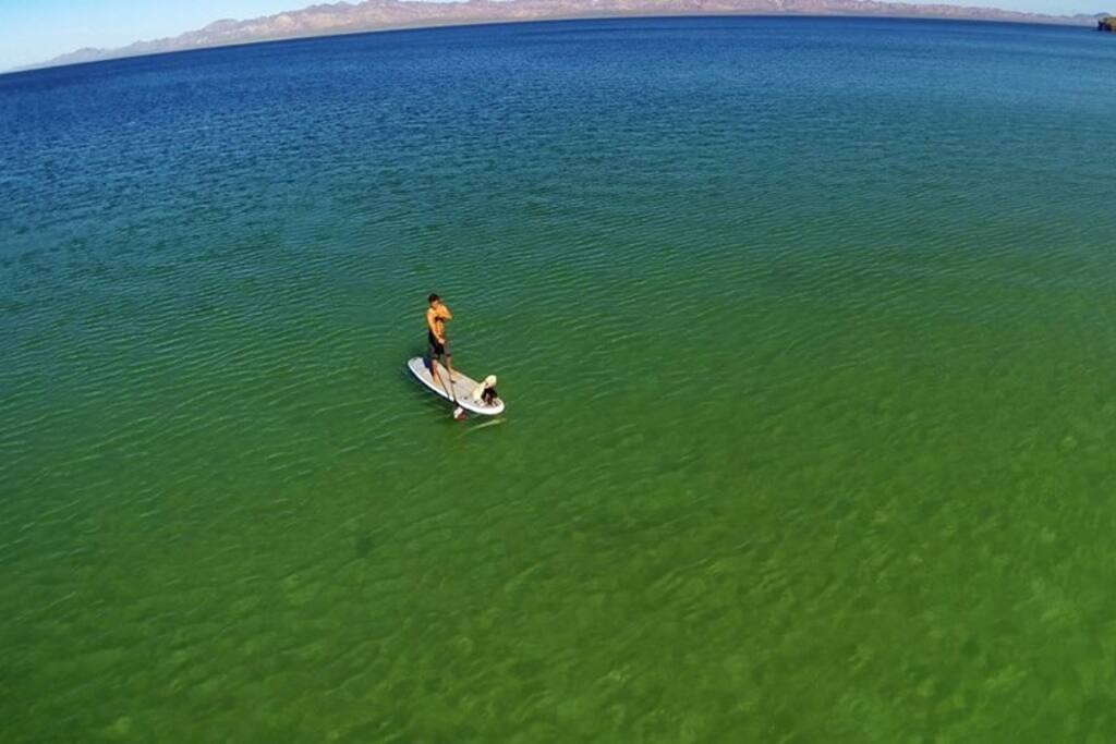 Kayaks included.