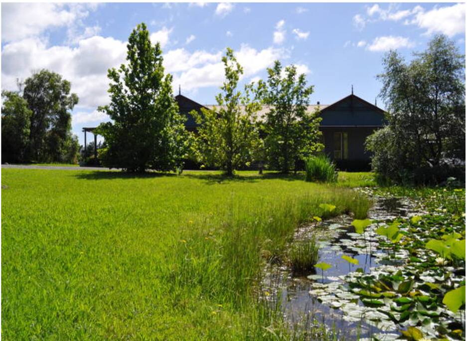 Front lawn