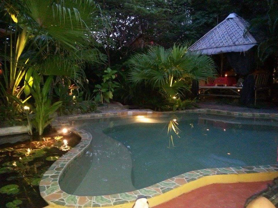 A serene salt-water swimming pool is surrounded by lush tropical plants and softly illuminated at dusk. A bamboo sala is visible in the background, creating a tranquil space. The pool's gentle curves complement the natural landscape, inviting relaxation and calm.