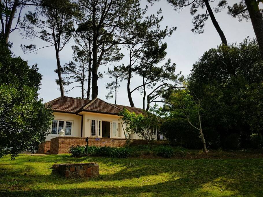 The cottage