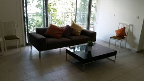 Modern, airy, excellent location! Wifi