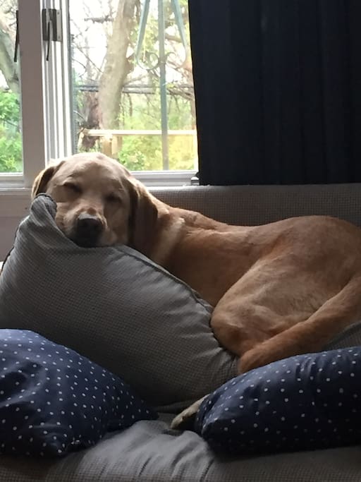 Charlie