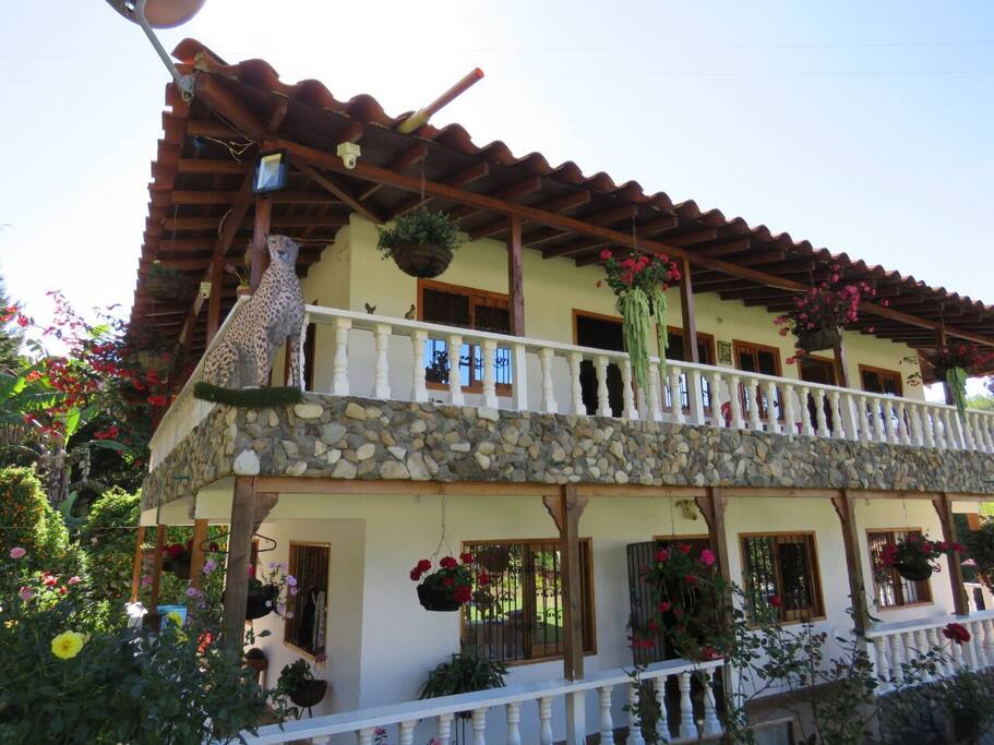 El esmero de la dueña de la finca por tener unas bellas plantas, siempre con flores, siempre en primavera.