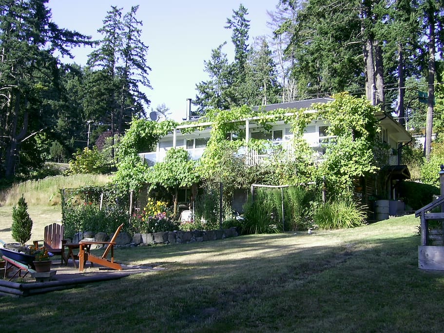 guest house from the back yard