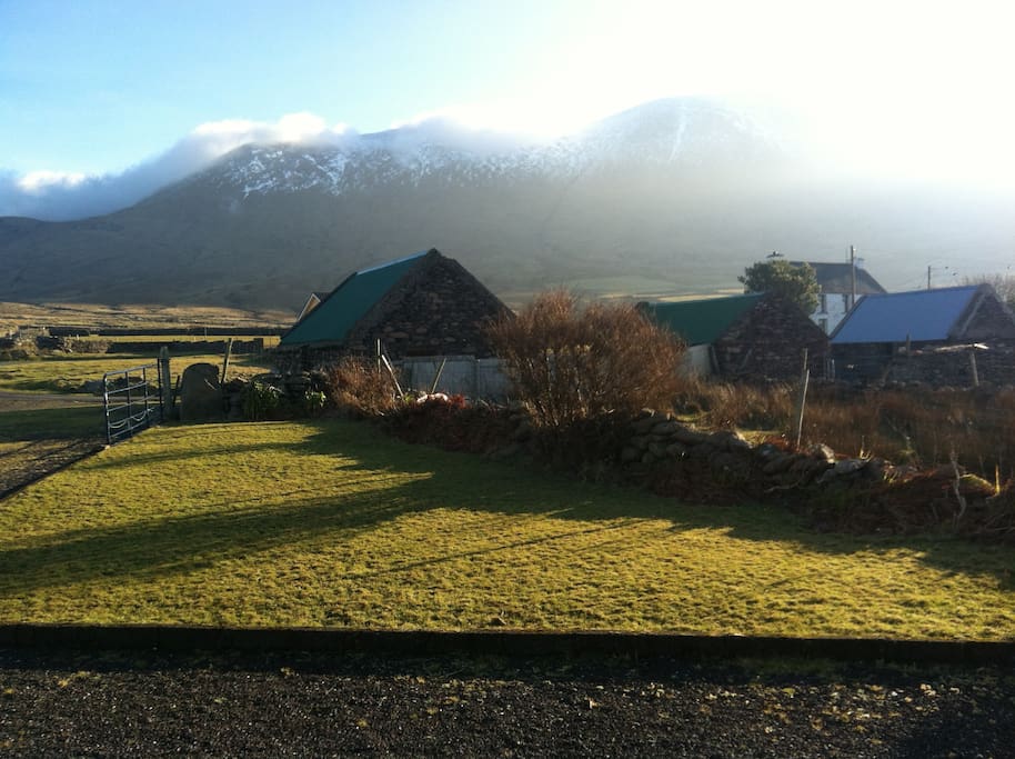 View of Mount Brandon from
cottage front door ,situated on Dingle way walking route .