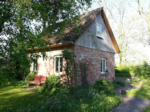 Top Airbnb: Vacation in the countryside near the North Sea in Wangerland