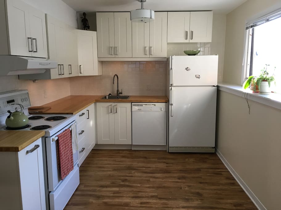 Newly renovated kitchen