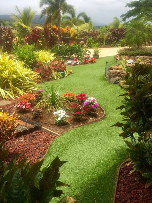 Updated beautiful paradise garden!