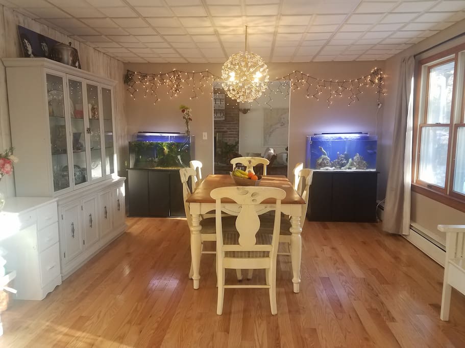Dining room with fresh and salt water aquariums.