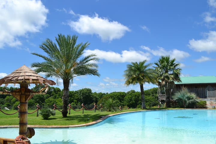 Guadalupe River Houses managed Airbnb listing 3
