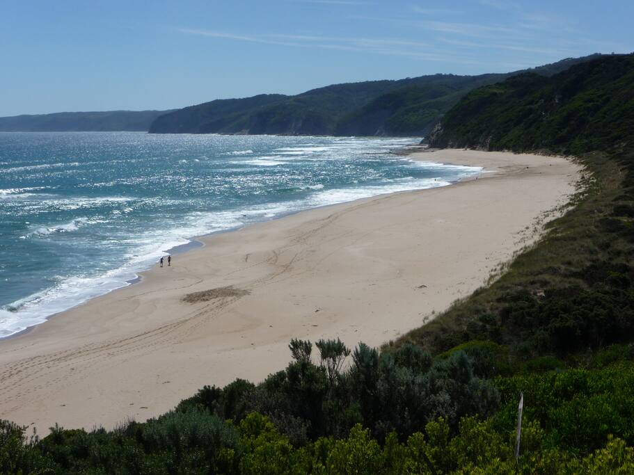 Dog friendly Johanna Beach