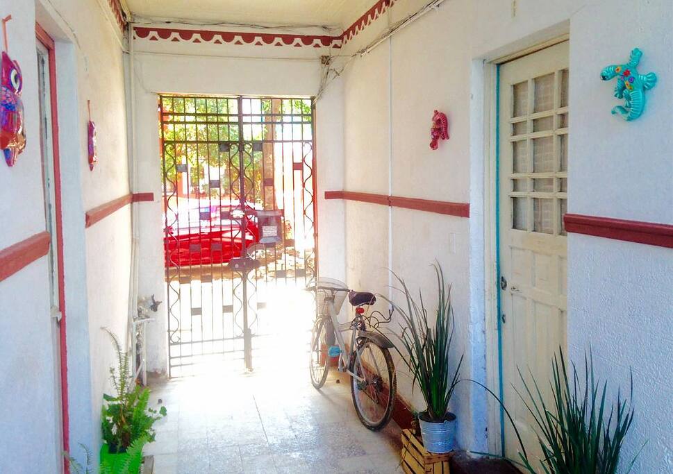 Sunny entrance with good and cheap tasty restaurants right outside the house. Le soleil nous embrace partout.