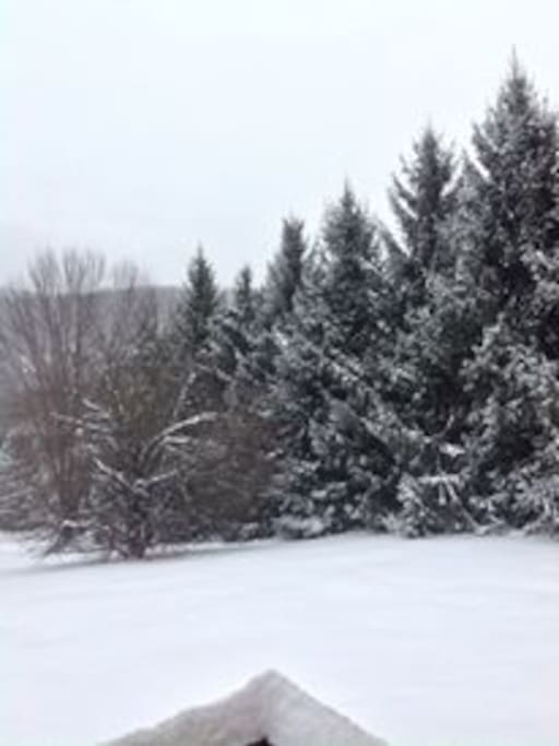Winter Wonderland