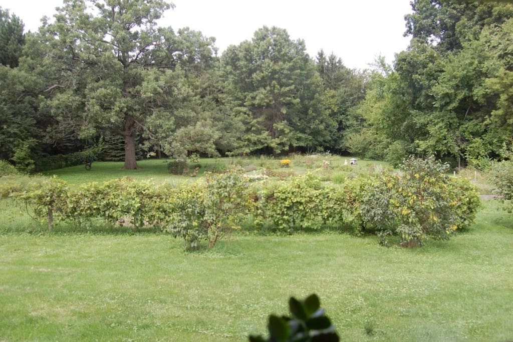 Back acre flower labyrinth and 100 year old oak tree with tire swing.