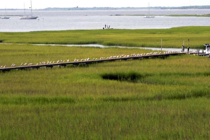 Charleston Harbor view, garage apt