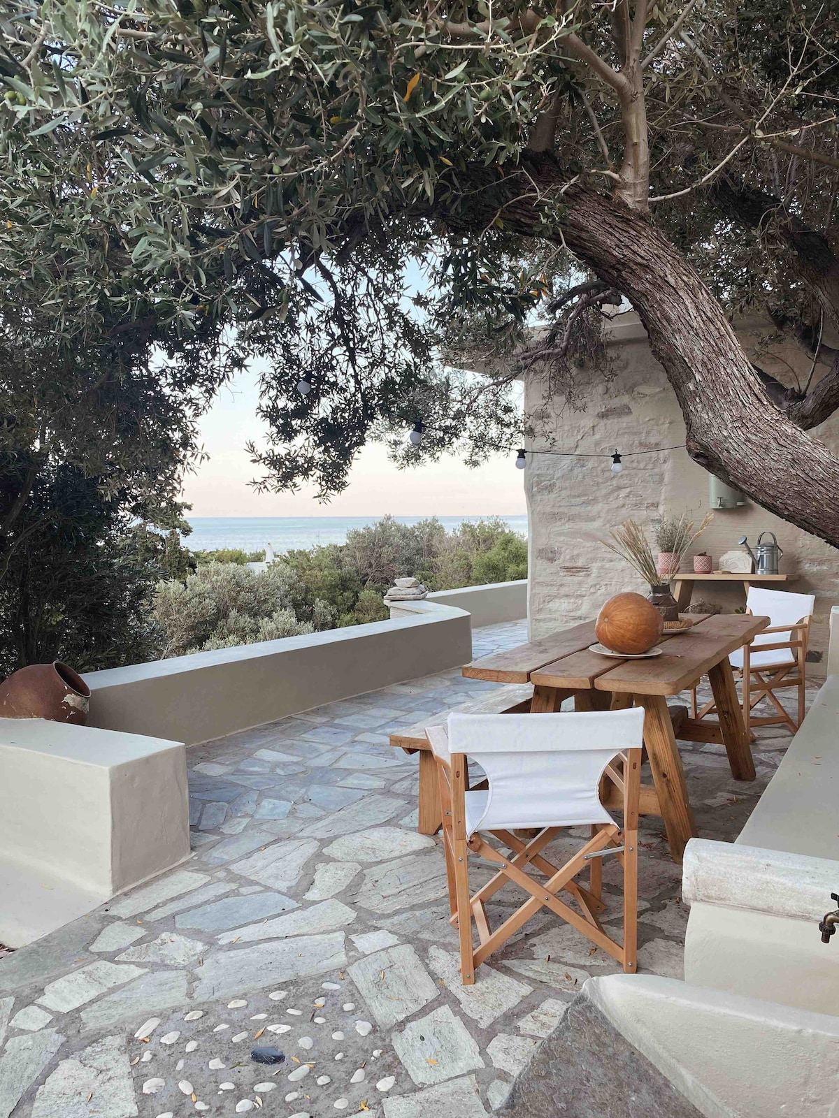 An outdoor seating area is surrounded by trees, featuring a wooden dining table with natural decor. Light-colored chairs provide additional seating, while a stone pathway leads to a view of the greenery and coastline in the distance.