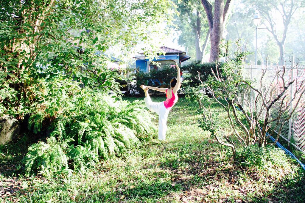 Practice yoga in the botanic garden, 2 minutes walking from our house