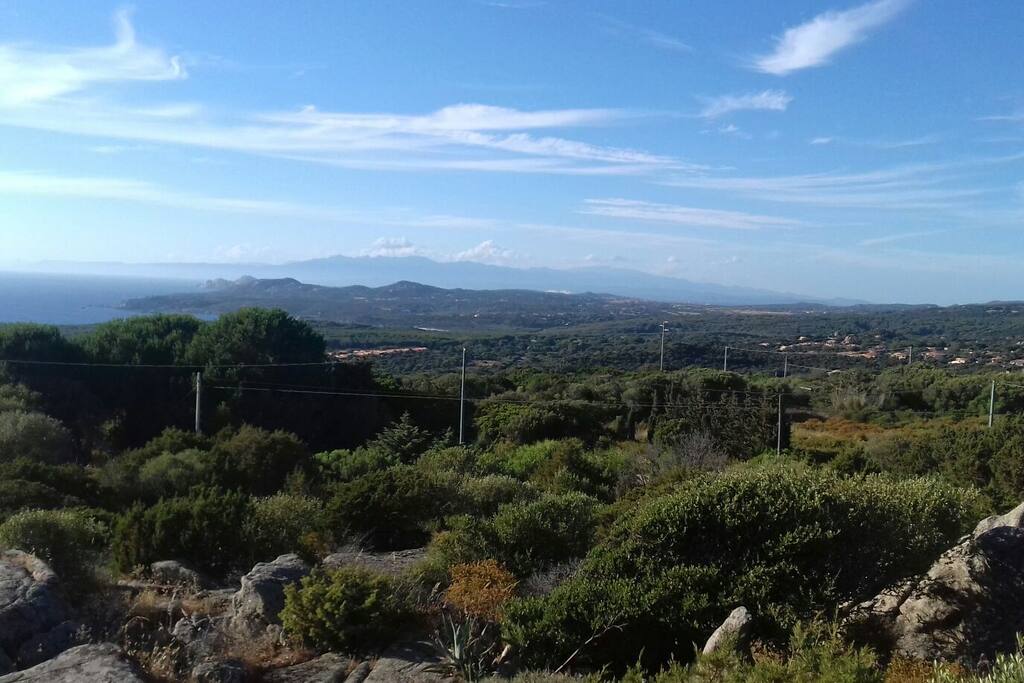 panorama