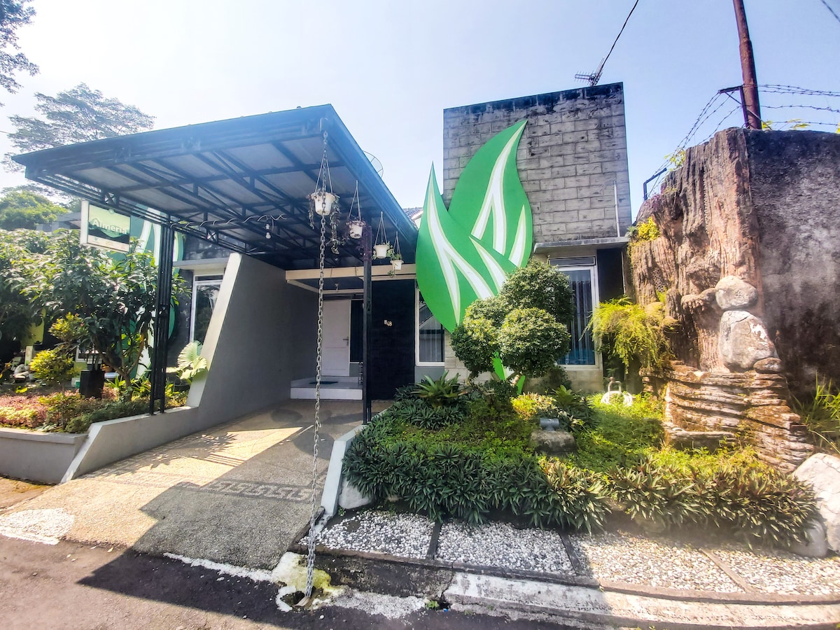 The exterior view showcases a contemporary house surrounded by lush greenery and ornamental plants. A prominent green design element is featured on the facade, while a stone pathway leads to the entrance. Natural light highlights the clean lines and inviting atmosphere of the entrance area.