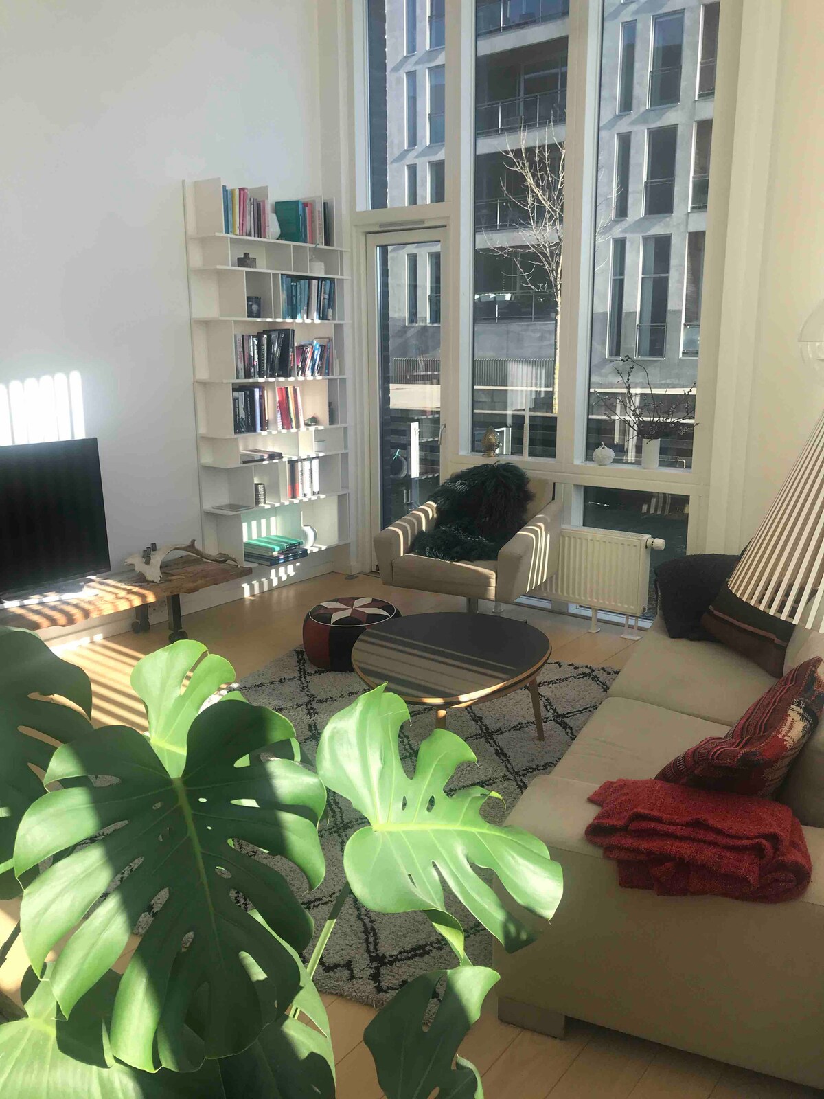 The living area features large windows allowing natural light to fill the space. A comfortable couch and armchairs are arranged around a low table on a patterned rug. A bookshelf holds various books, and a potted plant adds greenery to the room.